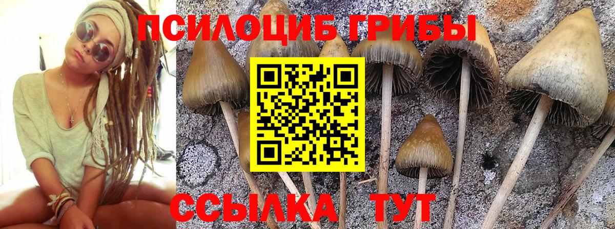 Псилоцибиновые грибы Magic Shrooms Отрадный